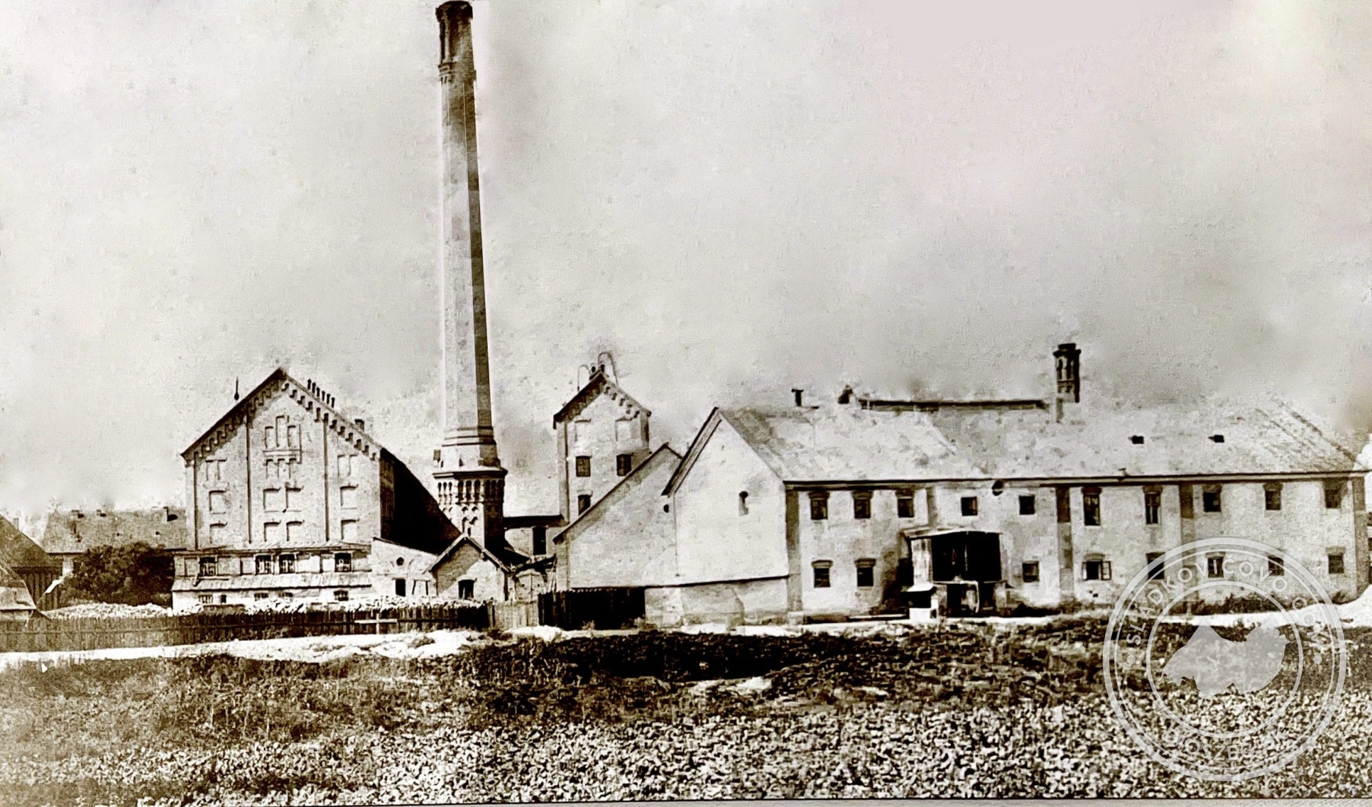 Fotografia z roku 1882.